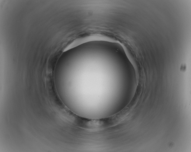 X0000092020225200709201558