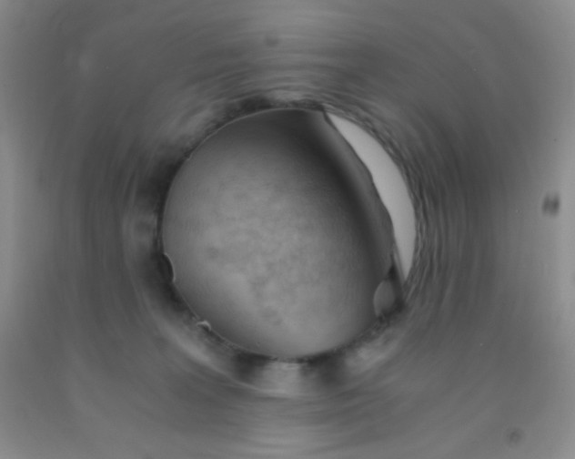 X0000092020227200709201558