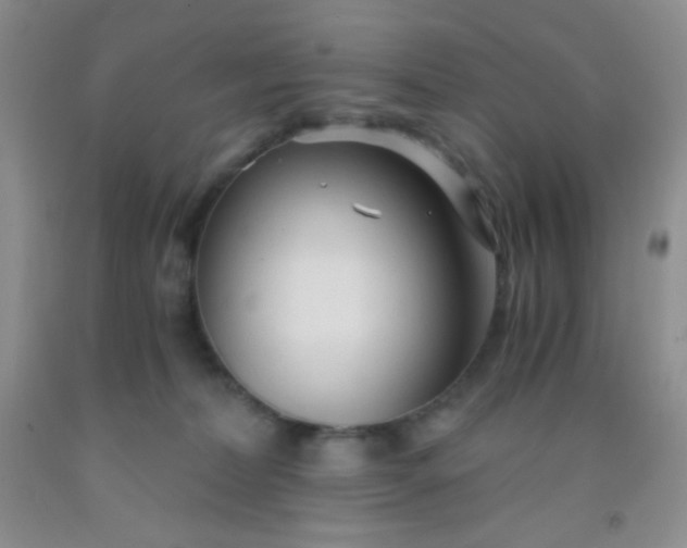 X0000092020228200709201558