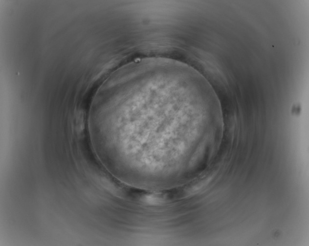 X0000092020232200709201558