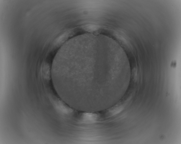 X0000092020234200709201558