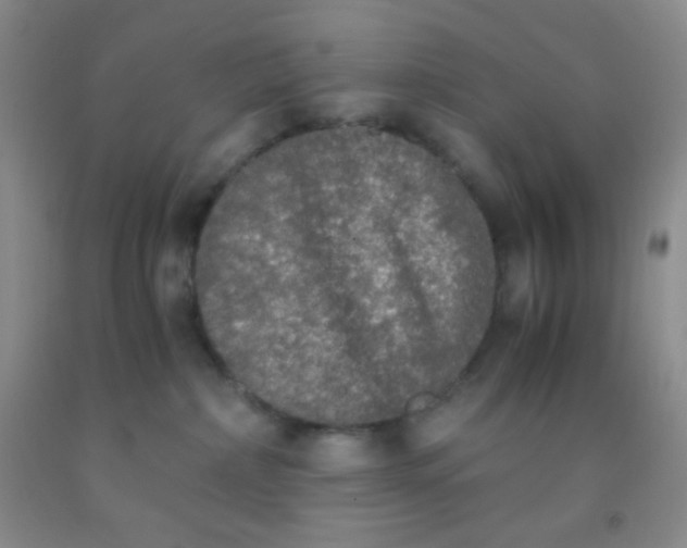 X0000092020236200709201558