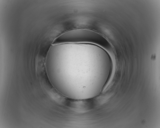 X0000092020237200709201558