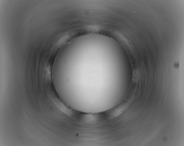 X0000092020238200709201558