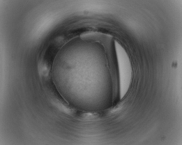 X0000092020239200709201558