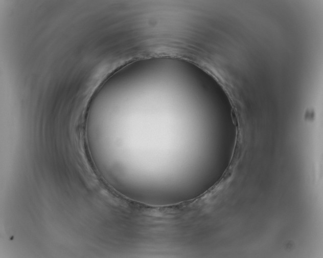 X0000092020241200709201557