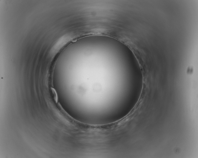 X0000092020242200709201557