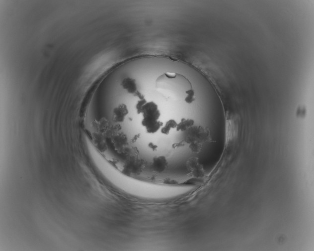 X0000092020243200709201557