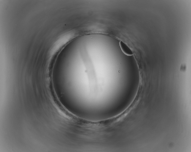 X0000092020245200709201557