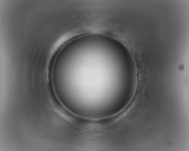 X0000092020246200709201557