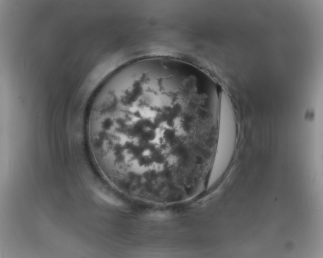 X0000092020247200709201557