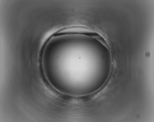 X0000092020248200709201557