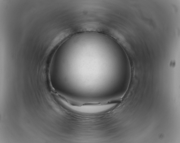 X0000092020250200709201557