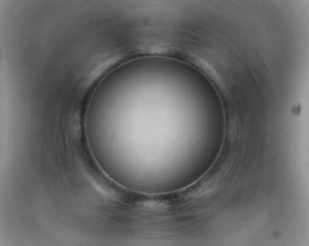 X0000092020251200709201557