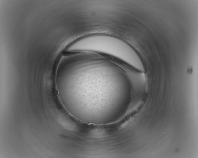 X0000092020252200709201557