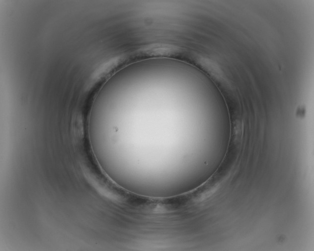 X0000092020254200709201557