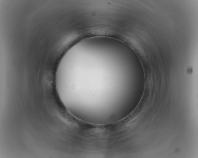 X0000092020255200709201557