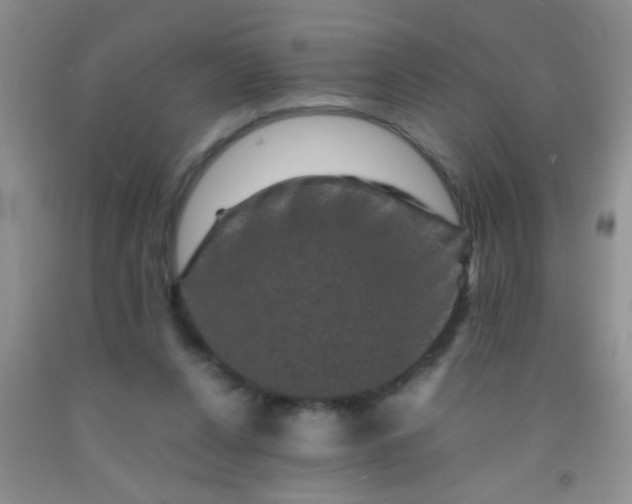 X0000092020256200709201557