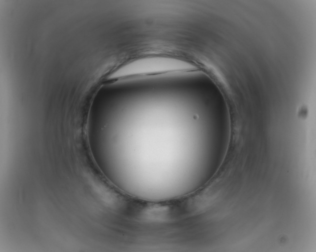 X0000092020257200709201557