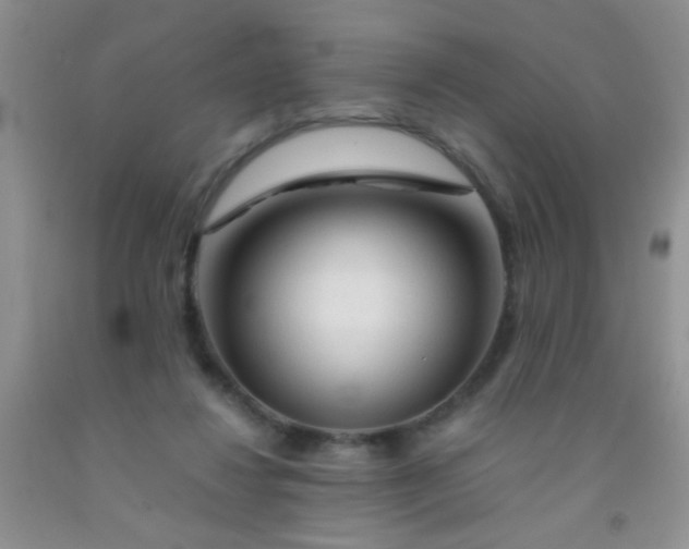 X0000092020260200709201557