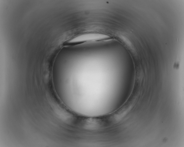 X0000092020261200709201557