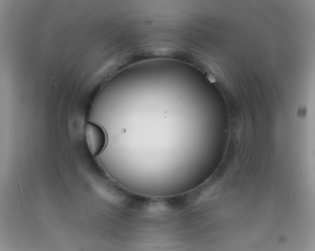 X0000092020262200709201557