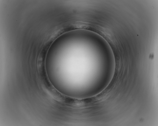 X0000092020263200709201557