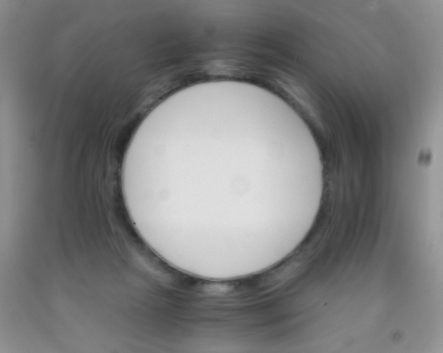 X0000092020265200709201557