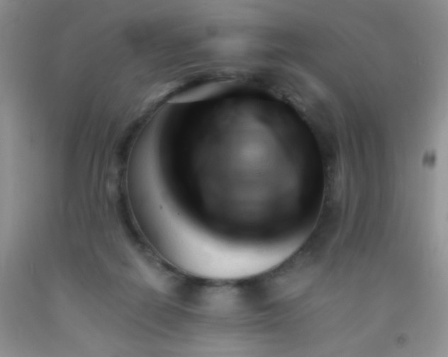 X0000092020266200709201557