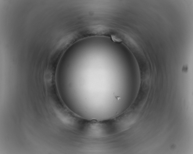 X0000092020268200709201557