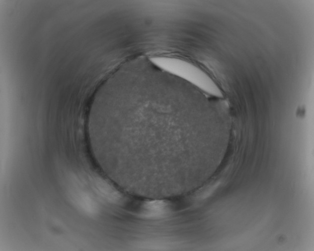 X0000092020269200709201557