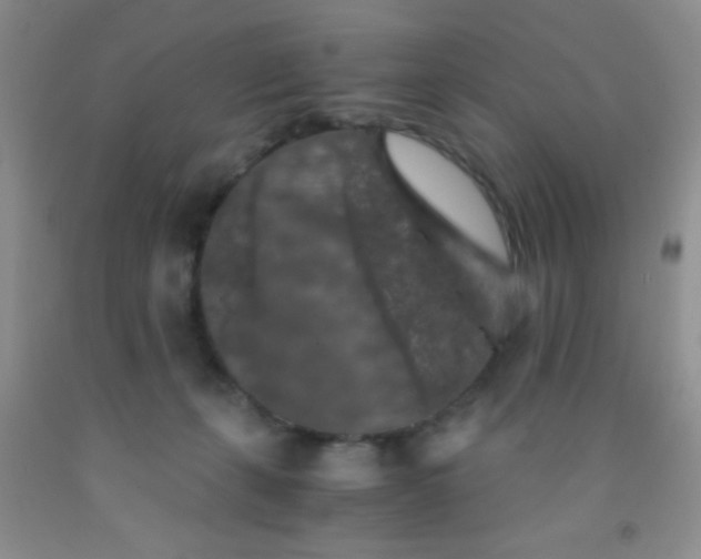 X0000092020271200709201557