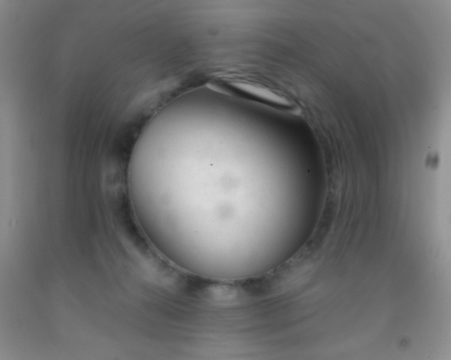 X0000092020272200709201557