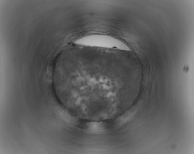 X0000092020273200709201557