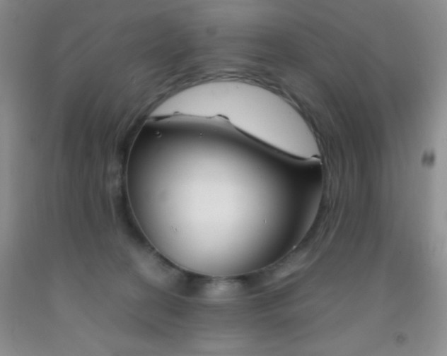 X0000092020274200709201557