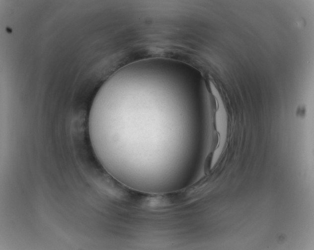 X0000092020275200709201557