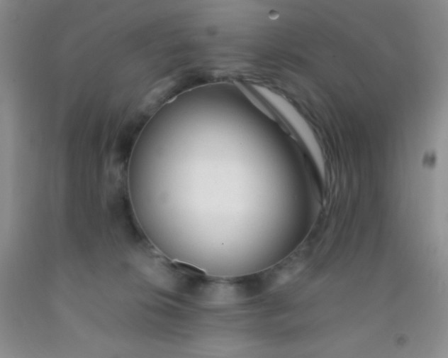 X0000092020276200709201557