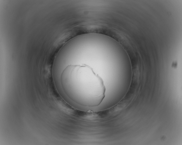 X0000092020278200709201557