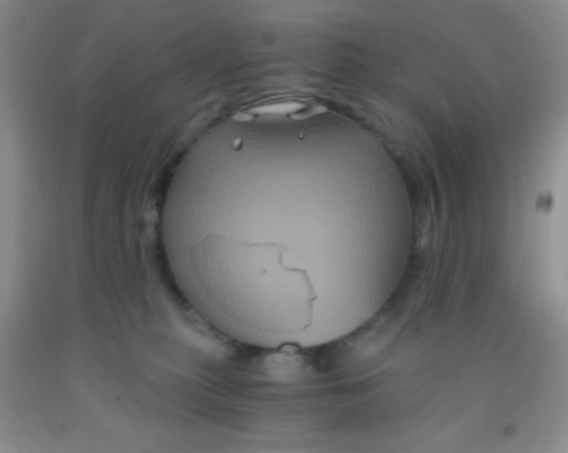 X0000092020279200709201557