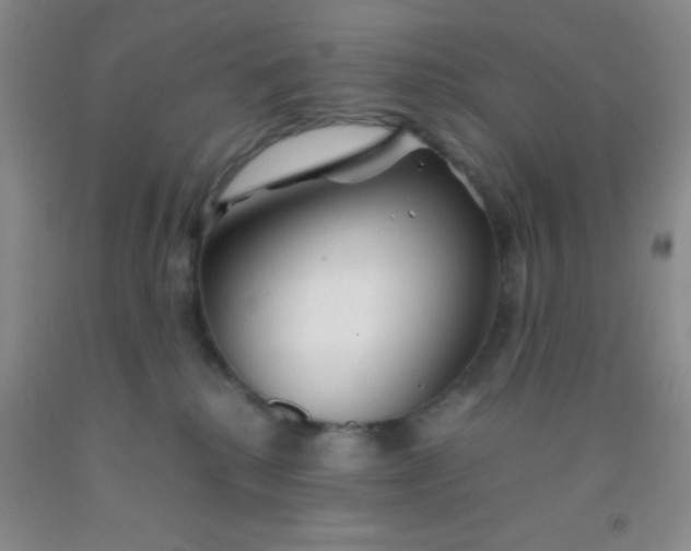 X0000092020280200709201557