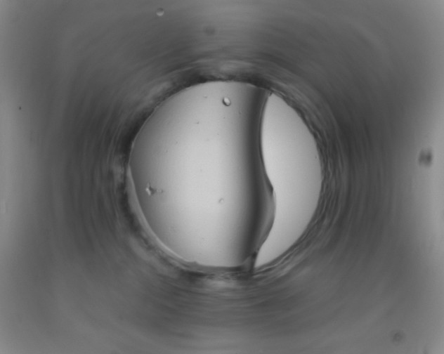 X0000092020284200709201558