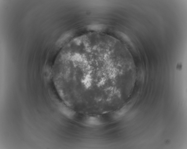 X0000092020285200709201558