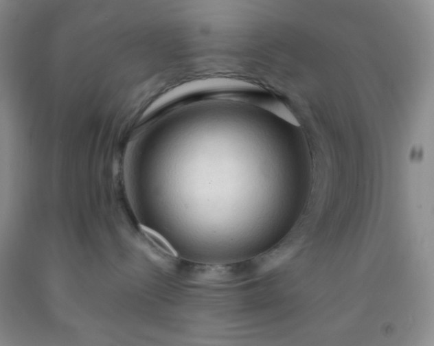 X0000092020288200709201558