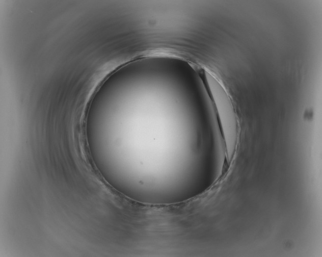 X0000092020289200709201557