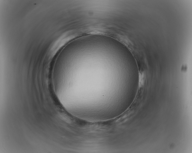 X0000092020291200709201557