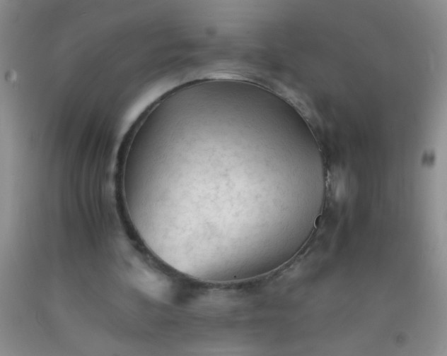 X0000092020292200709201557