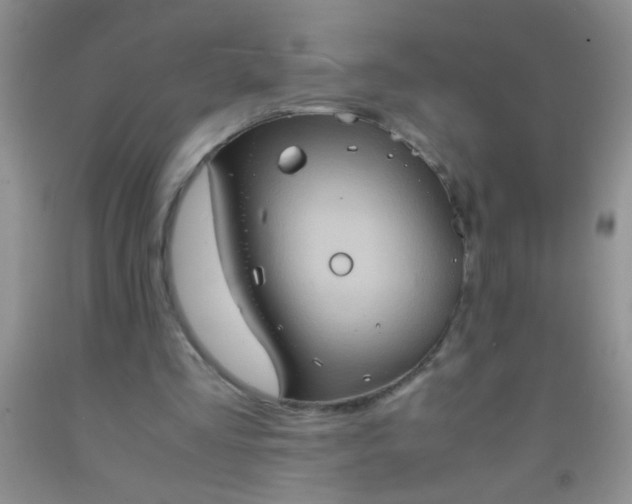 X0000092020293200709201557