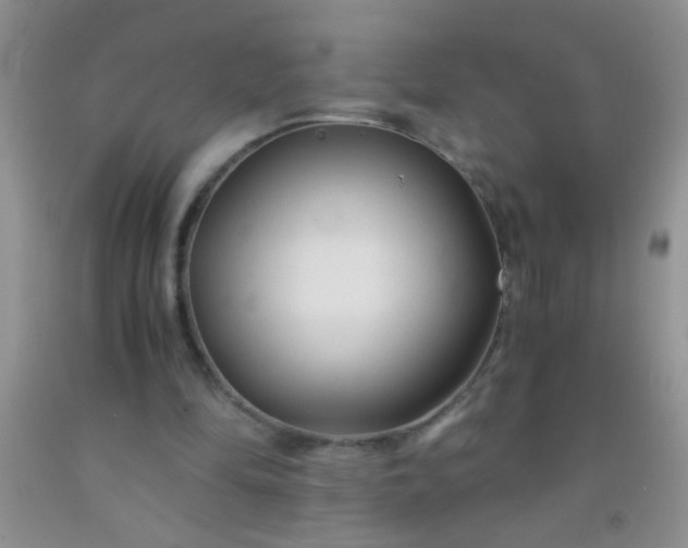 X0000092020294200709201557