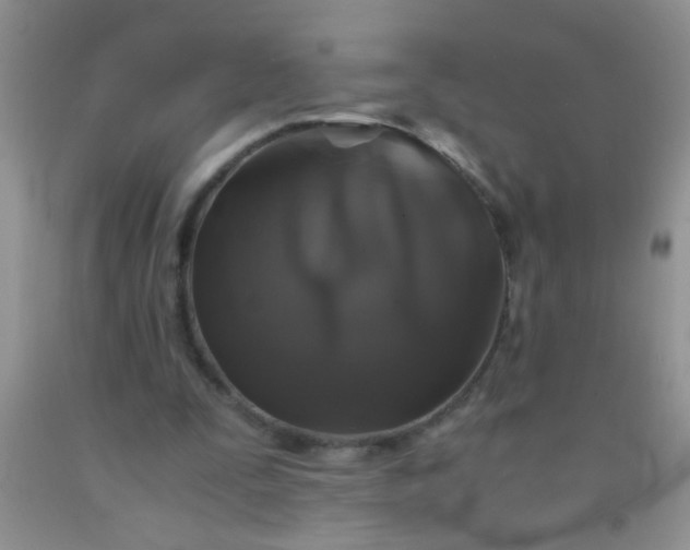 X0000092020295200709201557