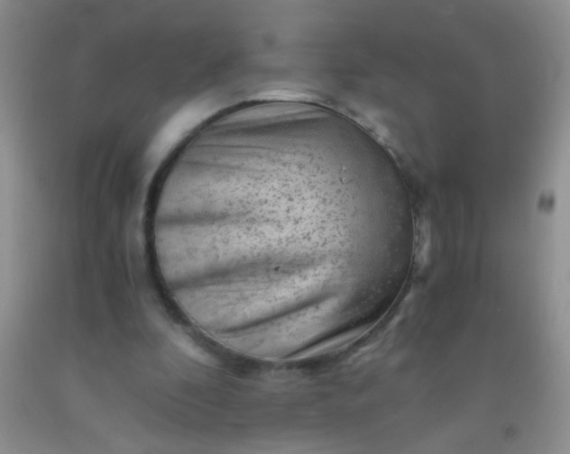 X0000092020296200709201557